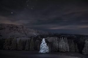 Lakeprod Blog Plus Belles Photos 2018 Suisse Sapin 300x200 Lakeprod Blog Plus Belles Photos 2018 Suisse Sapin 300x200