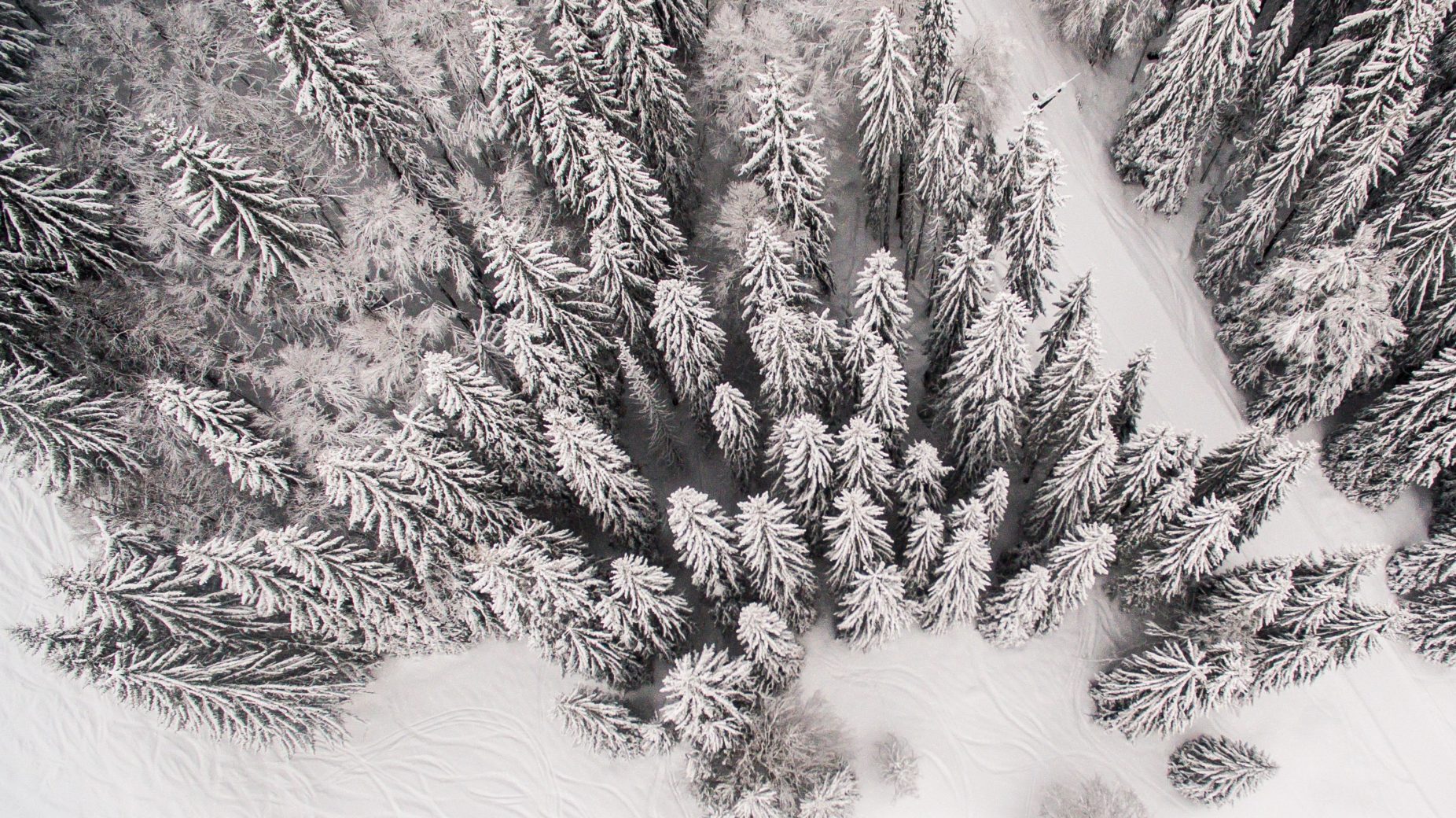 Lakeprod Photo Drone Header Lakeprod Photo Drone Header